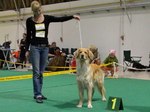 Canetti Sideric Miks