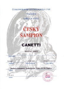 cany-sampion1.jpg